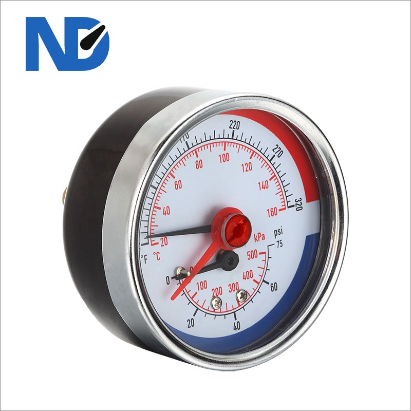 Combined thermo-pressure gauge