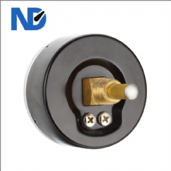 Combined thermo-pressure gauge